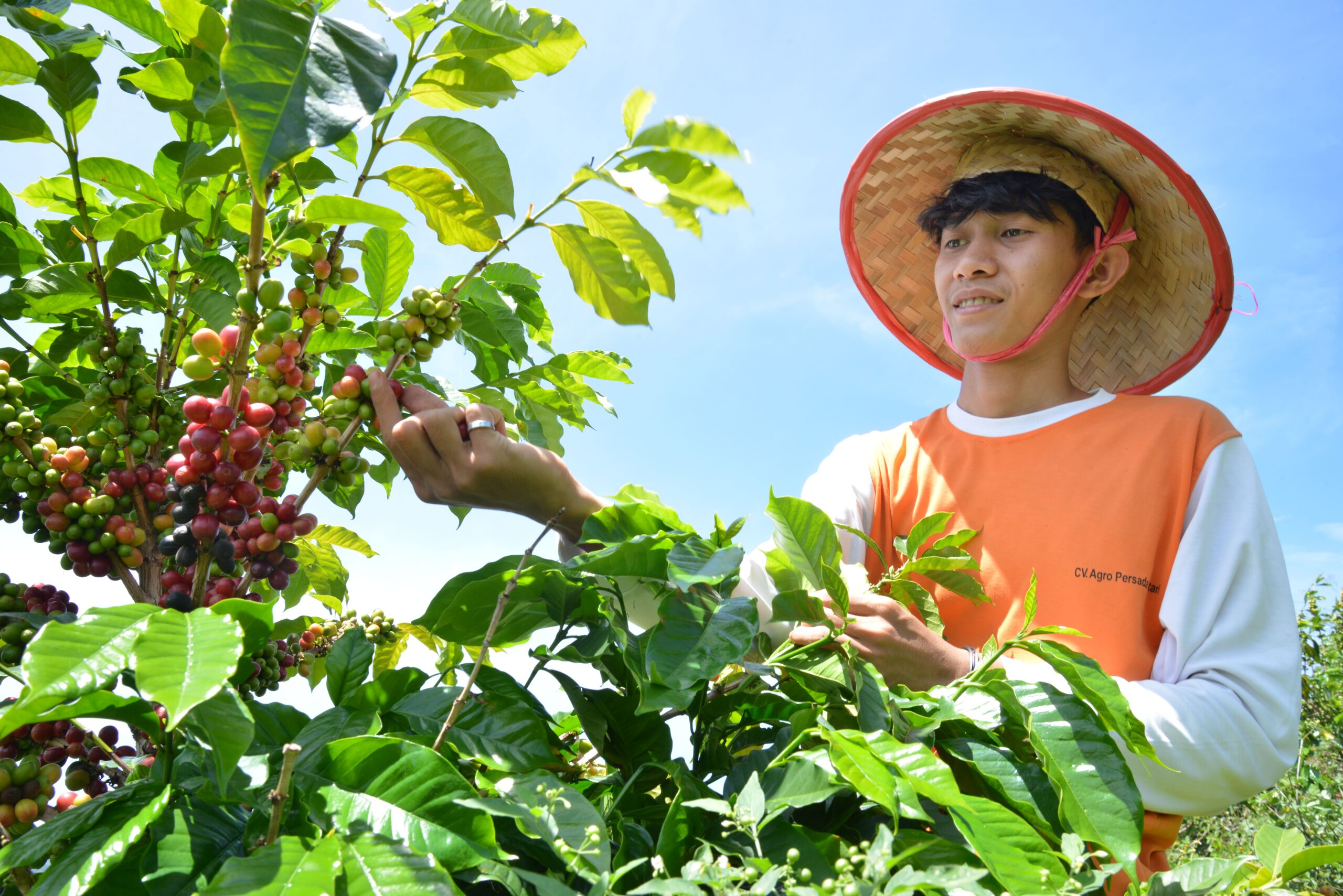 Putting communities in control with nature-based finance